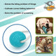 Suction Cup Pet Toy