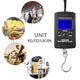 Portable 40kg/10g Electronic Hanging Fishing Digital Pocket Hook Scale