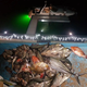 🎁New Year Hot Sale -50% OFF🐠Deep Drop Fishing Light