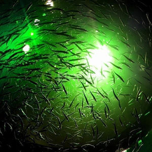 🎁Christmas Big Sale -50% OFF🐠Deep Drop Fishing Light